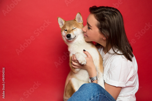 young brunette woman in white t shirt and jeans holding a dog shiba inu, on plane red background. 