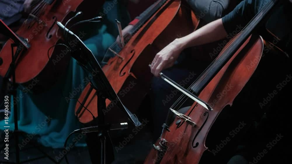symphonic orchestra cello play in a large hall