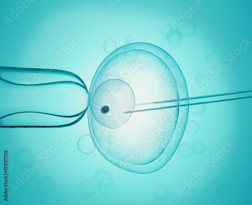 Obraz na płótnie artificial insemination cell under the microscope