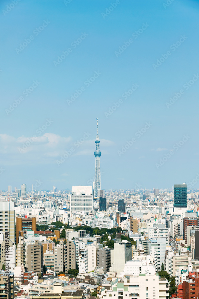 Naklejka premium 都市風景 東京