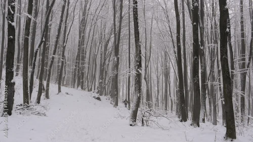 Senior man in the distance walking his dog through beautiful misty winter forest. Senior man in the distance walking his dog through beautiful misty winter forest.
