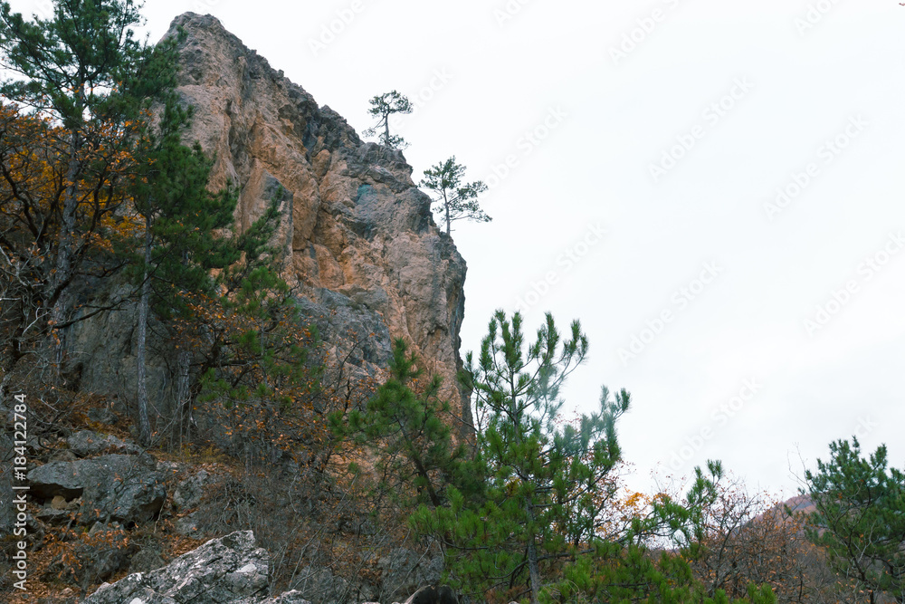 Mountain rocks overgrown with forest plants Mountain rocks overgrown with forest plants