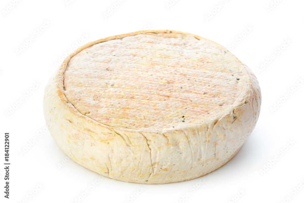 cheese isolated on white cheese isolated on white