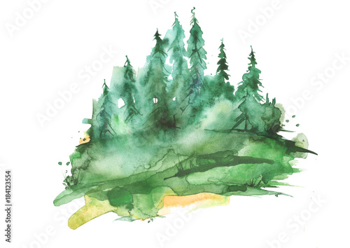 Watercolor group of trees - fir, pine, cedar, fir-tree. green forest, landscape, forest landscape. Drawing on white isolated background.