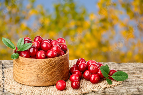 Cranberry with leaf in wooden bowl on old wooden table with blurry garden background