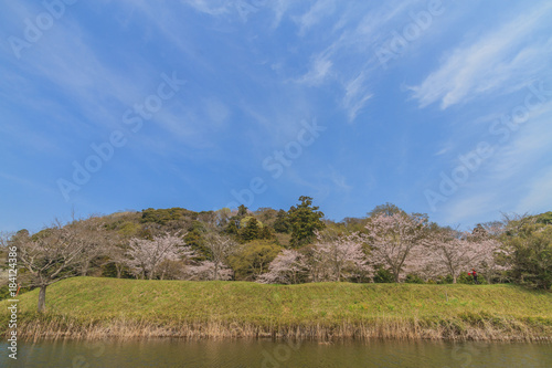 春の佐倉城跡の出丸跡の風景