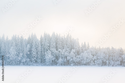 Fog in a winter forest landscape with snow and frost © Lars Johansson