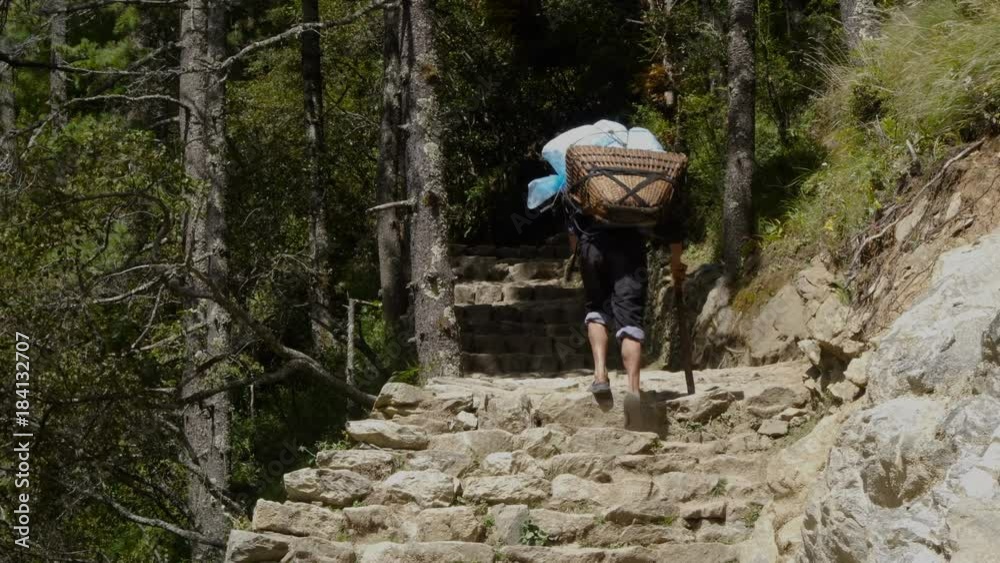 The porter bears a heavy load, climbing the stone steps. Track to the base camp of Everest in the Himalayas. Sagarmatha National Park, Nepal The porter bears a heavy load, climbing the stone steps. Track to the base camp of Everest in the Himalayas. Sagarmatha National Park, Nepal