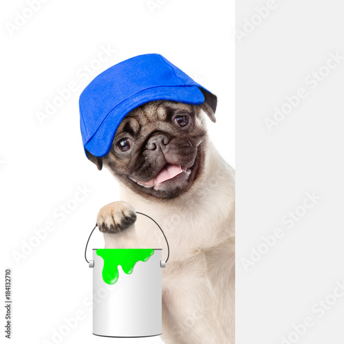 Funny puppy in blue hat with paint bucket behind white banner. isolated on white background © Ermolaev Alexandr