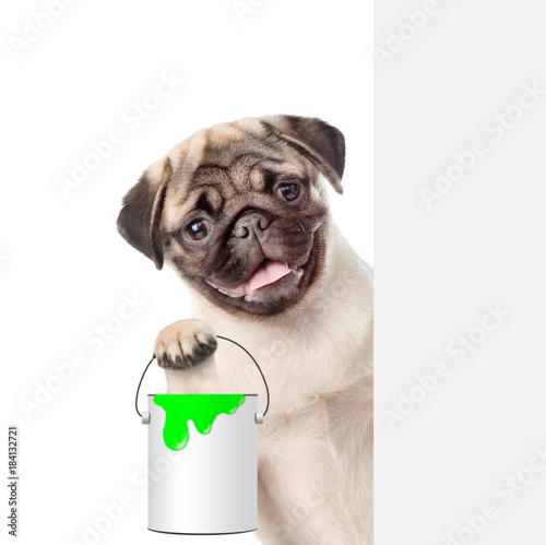 Funny puppy with paint bucket behind white banner. isolated on white background © Ermolaev Alexandr