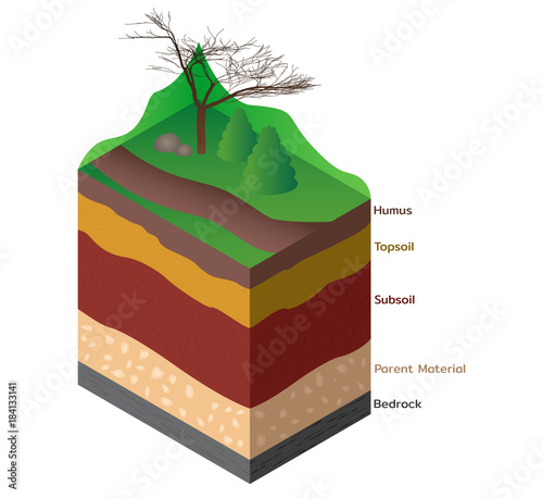 Soil layers for for geology science education. Vector illustration.