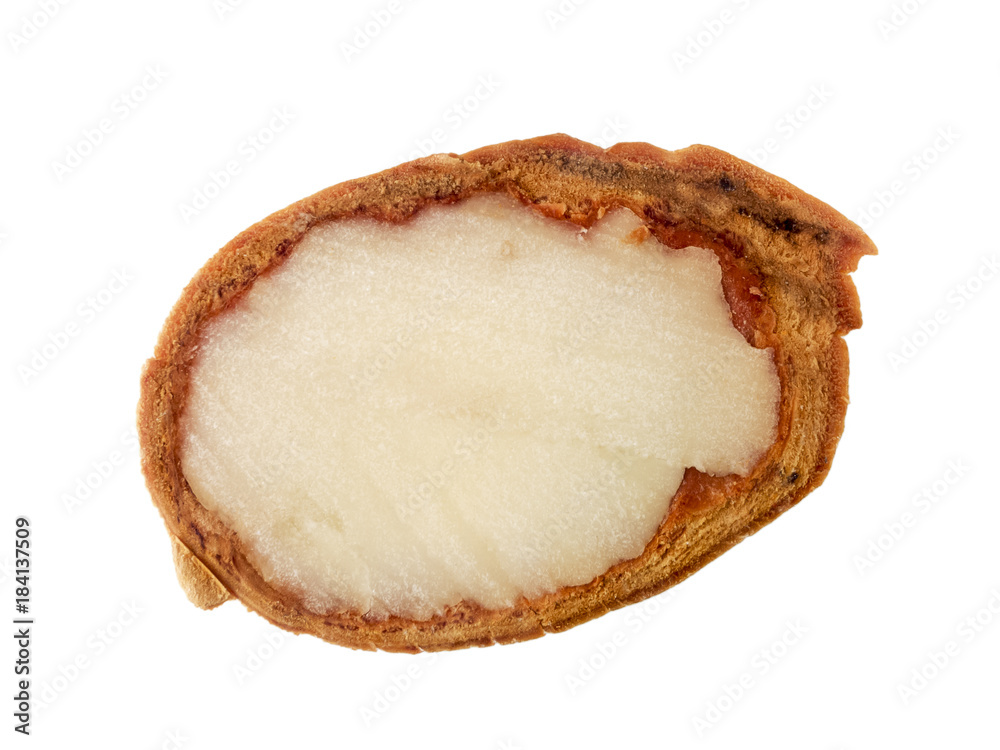 Chestnut in cross-section Chestnut in cross-section