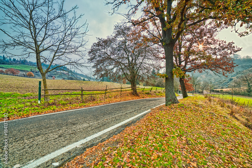 Country road in autumn landscape