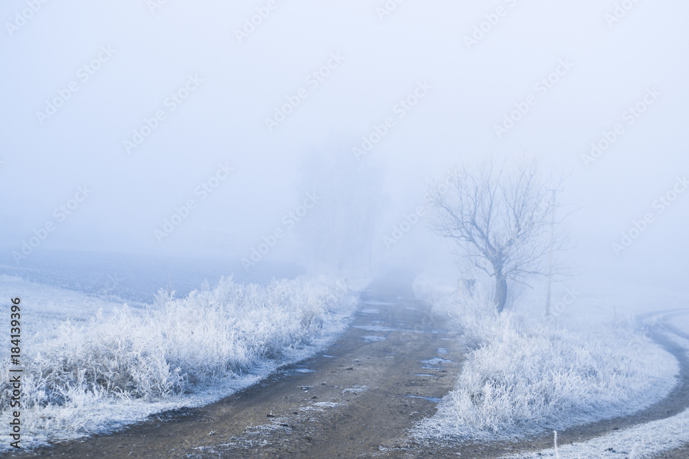 Frosty misty morning landscape in the village. Frosty misty morning landscape in the village.