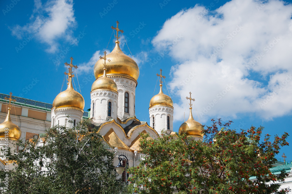 Golden domes and crosses of the Annunciation Cathedral of the Orthodox Church, located on the Cathedral Square of the Moscow Kremlin with rowan and birch in the foreground