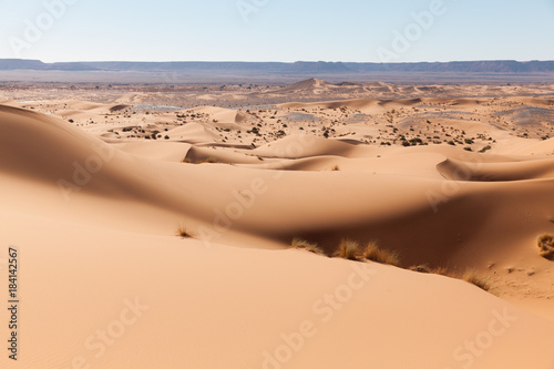 Dunes de sable  Sahara