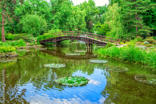 View of beautiful garden with wooden walking bridge, green trees, bushes and blue sky, reflecting in a pond water. Summer natural landscape