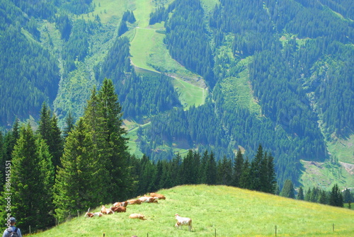 Alpen view