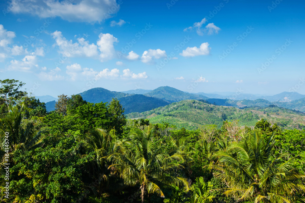 Obraz premium Tropical landscape with mountains