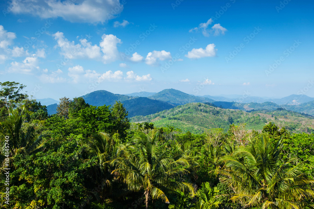 Tropical landscape with mountains