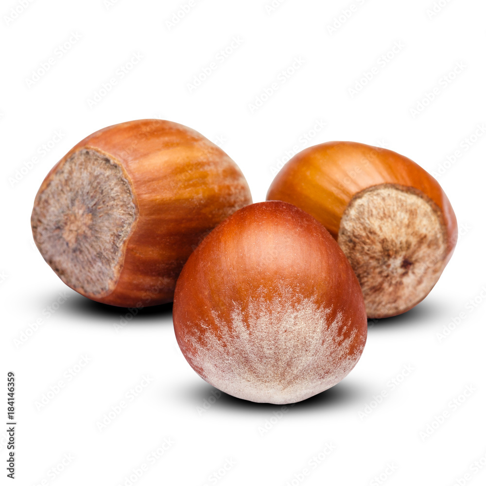 hazelnuts close-up isolated on white background. Clipping path hazelnuts close-up isolated on white background. Clipping path