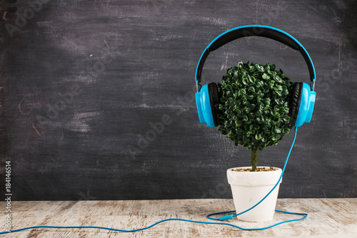 Headphones on a tree hat. Concept of love of music