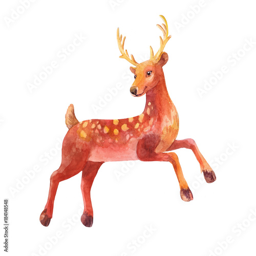 Little Deer. Watercolor illustration