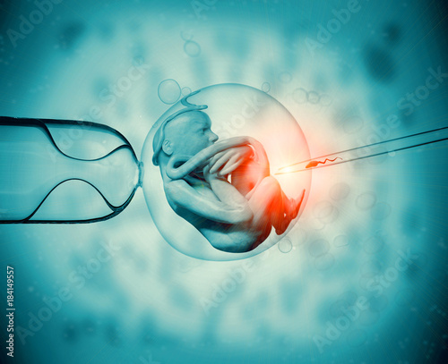 3D rendering of an artificial insemination or in-vitro fertilization of an egg cell,ovum or zygote