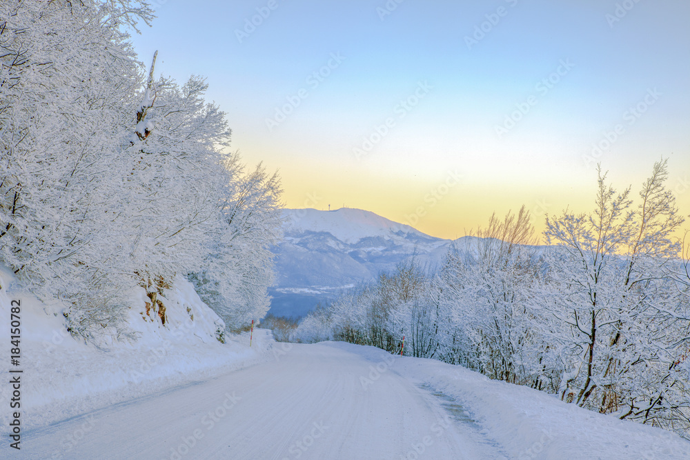 Obraz premium Trebevic, Sarajevo Olympic Mountain