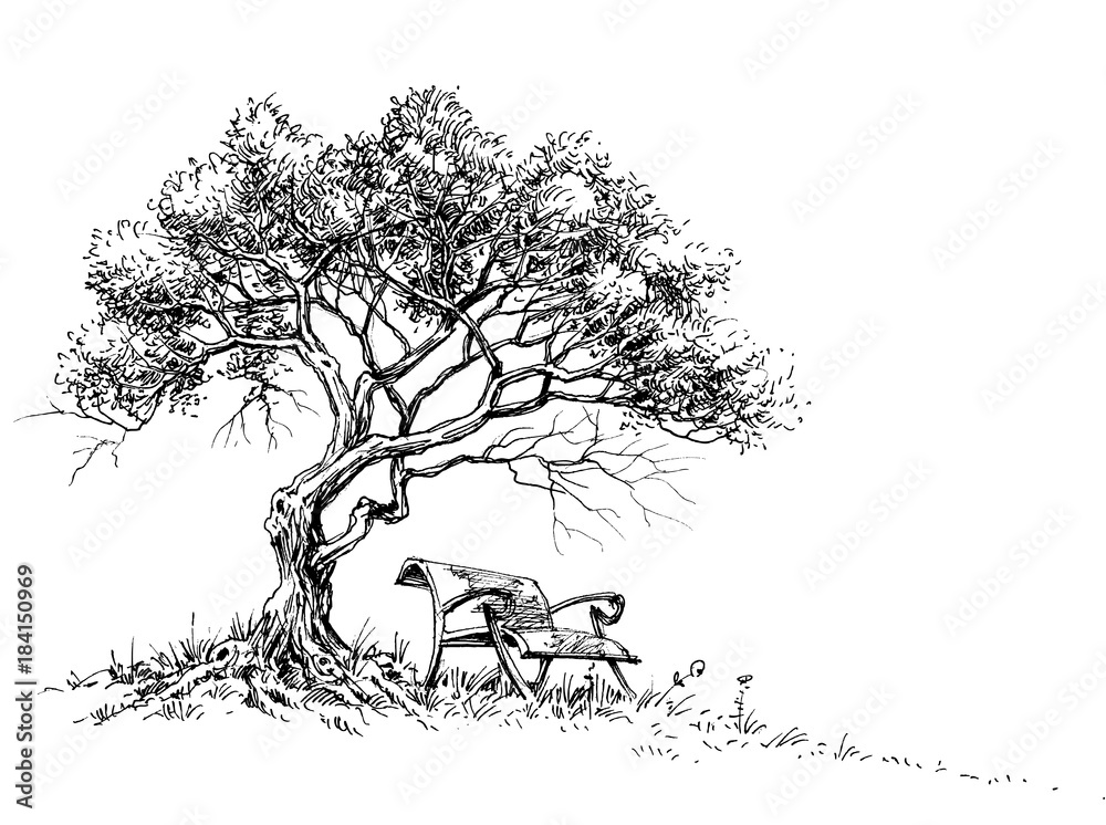 A bench under the tree park or garden wallpaper