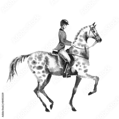 Horseback rider man and dapple grey horse. Black and white monochrome watercolor or ink hand drawing illustration. Horseman on stallion. England equestrian sport traditional hunting style.