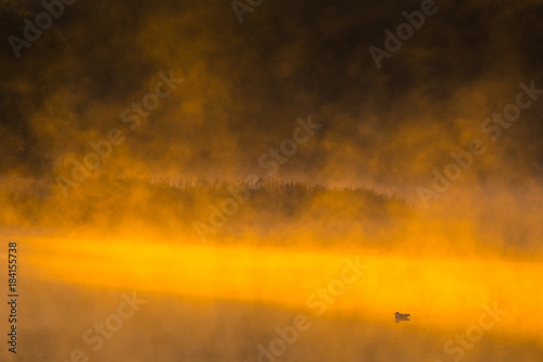 Image of morning mist over the surface of water 