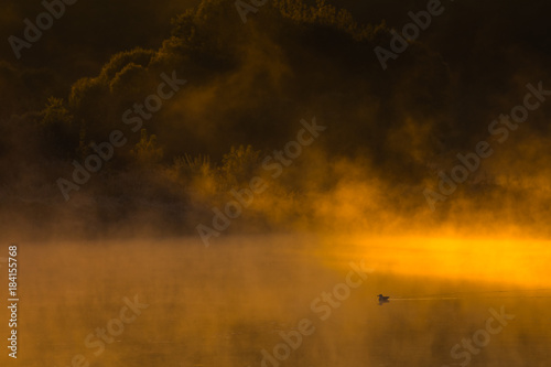 Image of morning mist over the surface of water 