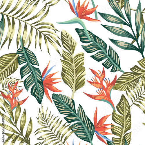 Palm leaves tropical flowers seamless white background