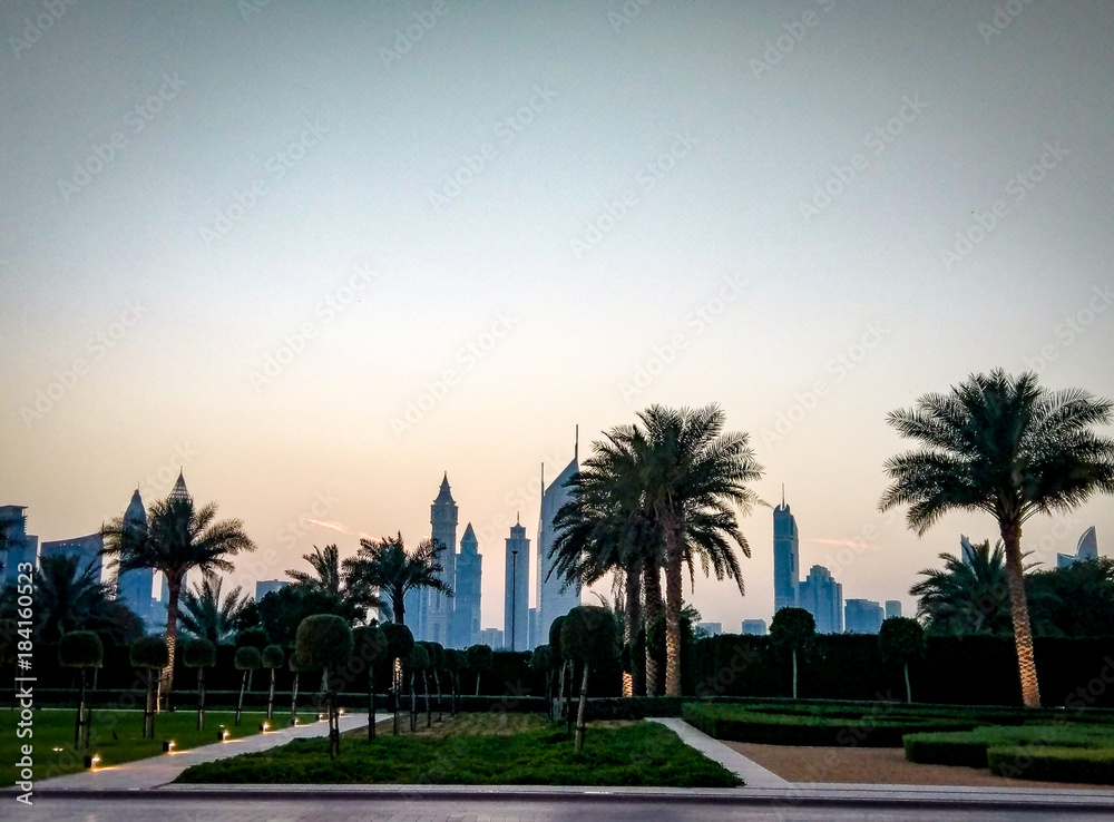 Dubai city behind the palms