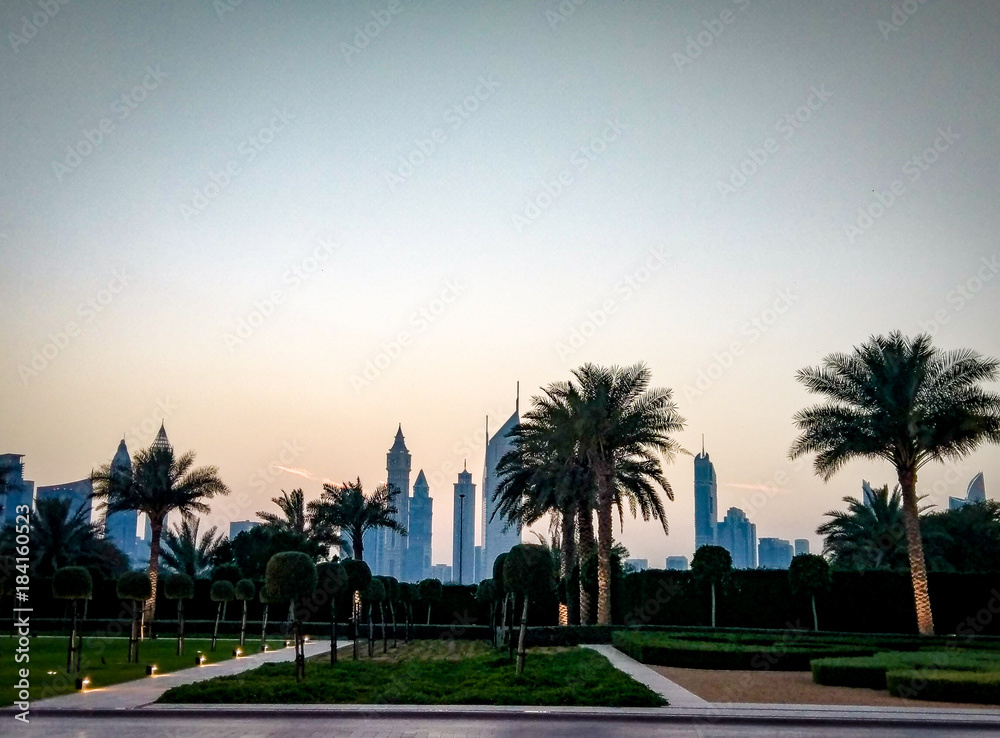Obraz premium Dubai city behind the palms
