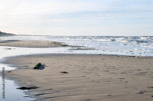 Ocean