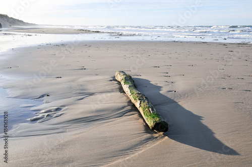 Coast