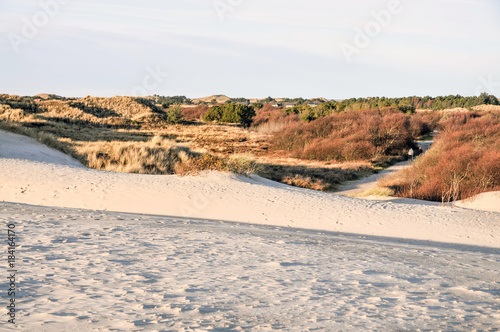 landscape