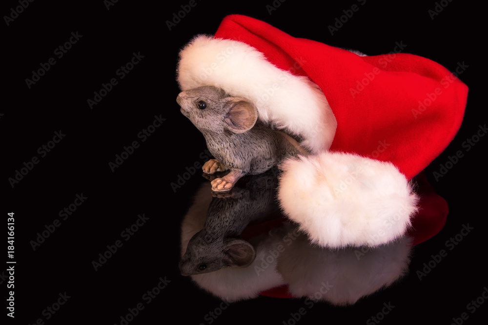 Maus mit Weihnachtsmütze vor schwarzem Hintergrund Maus mit Weihnachtsmütze vor schwarzem Hintergrund