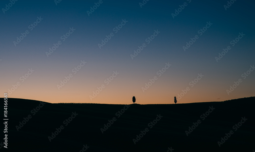 Beautiful tuscan landscape with the cypress wood