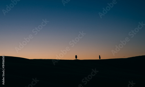 Beautiful tuscan landscape with the cypress wood