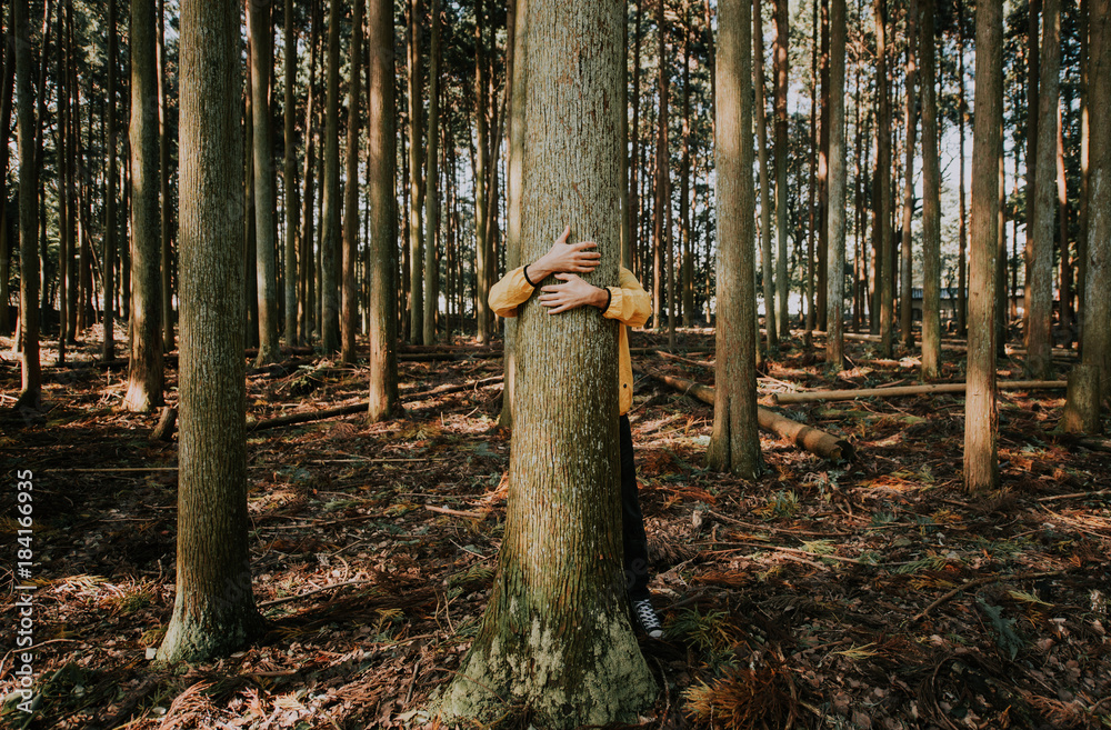 Fototapeta premium Mężczyzna przytulanie kory drzewa