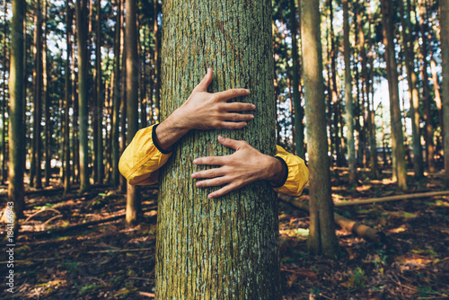 Man hugging tree bark
