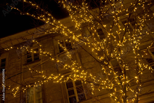 Festive lights on trees at a city street