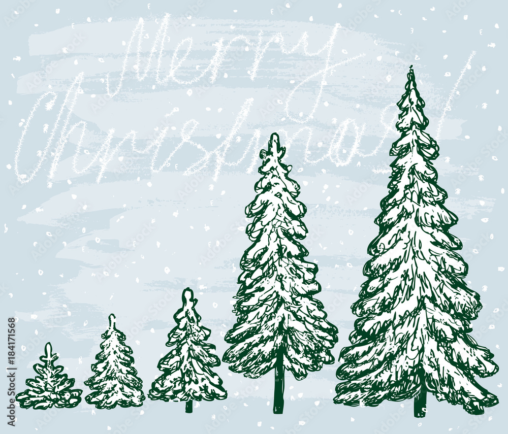 Fototapeta premium Christmas trees in December
