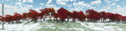 autumn trees on a snow hill  