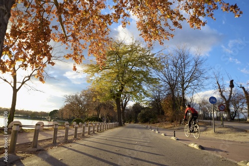 Fototapeta Naklejka Na Ścianę i Meble -  ciclista en carretera con arboles en otoño