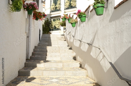 Pots along the stairs in Estepona, Andalusia, Spain © monysasi