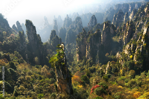 Zhangjiajie Forest Park. Gigantic pillar mountains rising from the canyon. Tianzi Mountain. Hunan province, China photo
